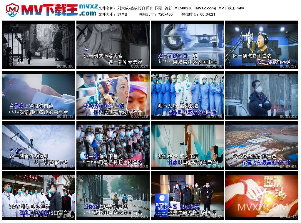 刘大成-盛放的白百合_国语_流行_ME500238